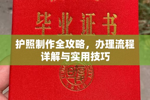 定结护照制作全攻略，办理流程详解与实用技巧